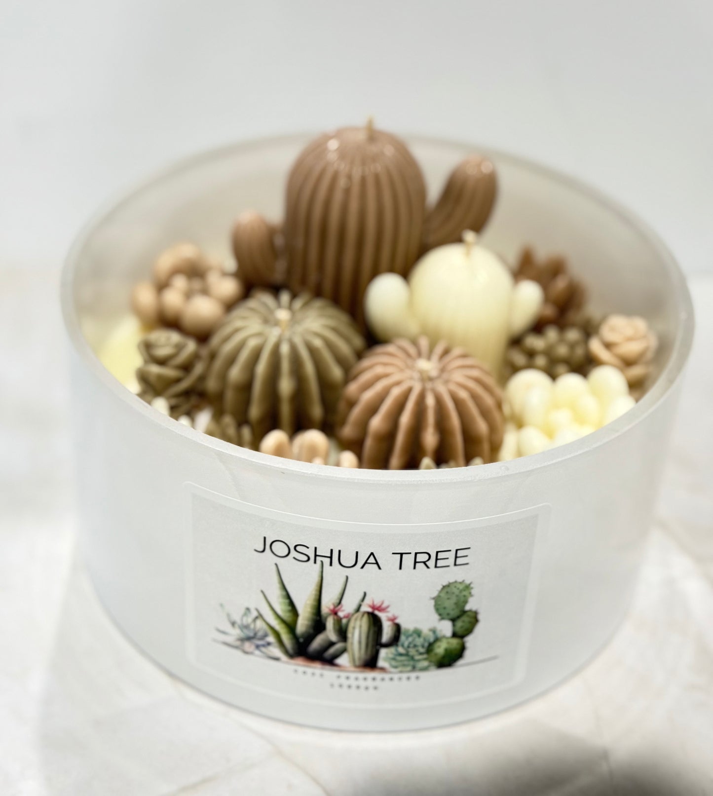 Joshua Tree Sculpted Candle - 1500gms
