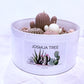 Joshua Tree Sculpted Candle - 1500gms